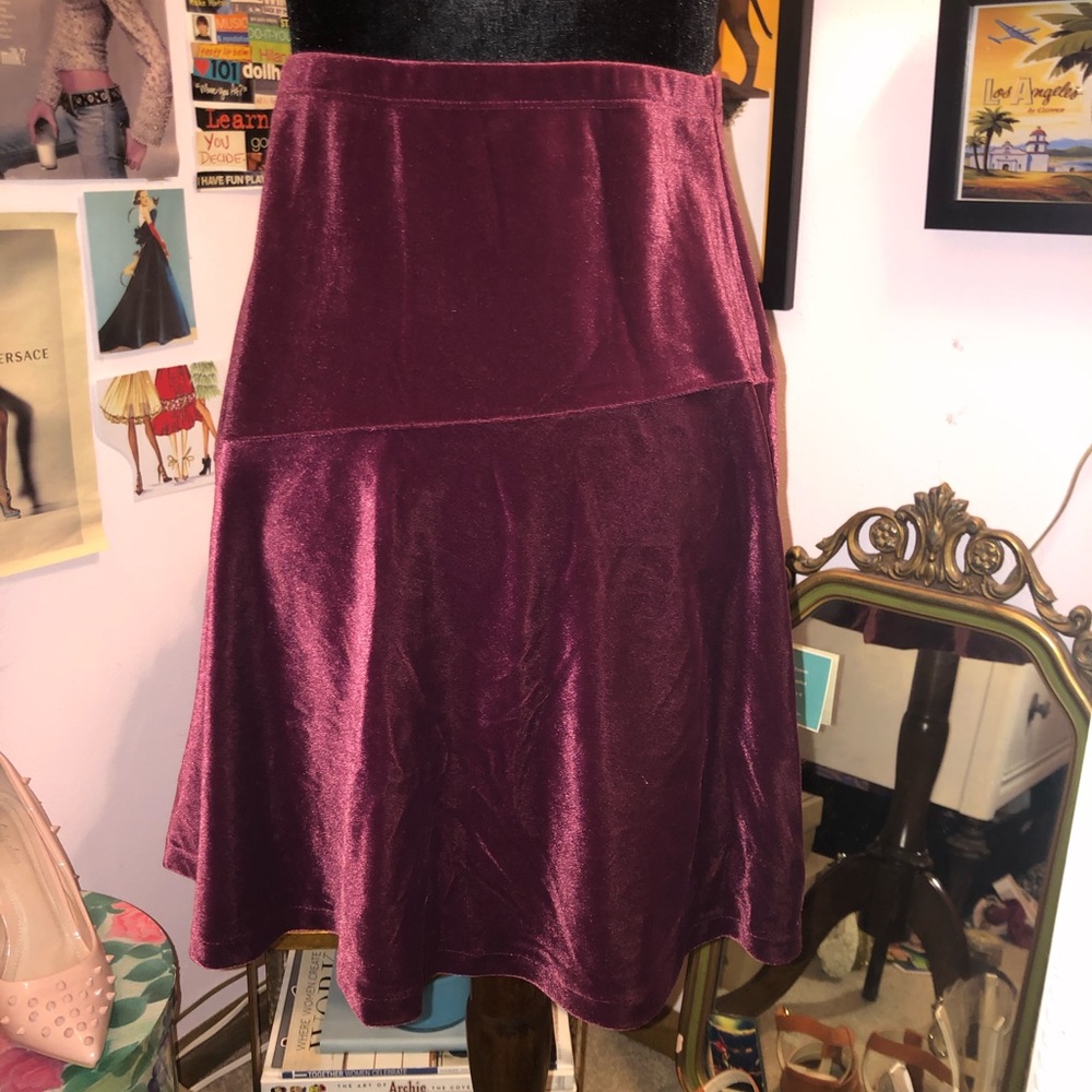 Velvet Skirt